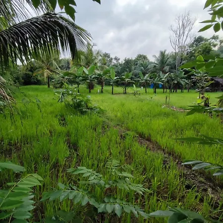 Sigiri Sandilu Homestay Sigiriya Exterior foto