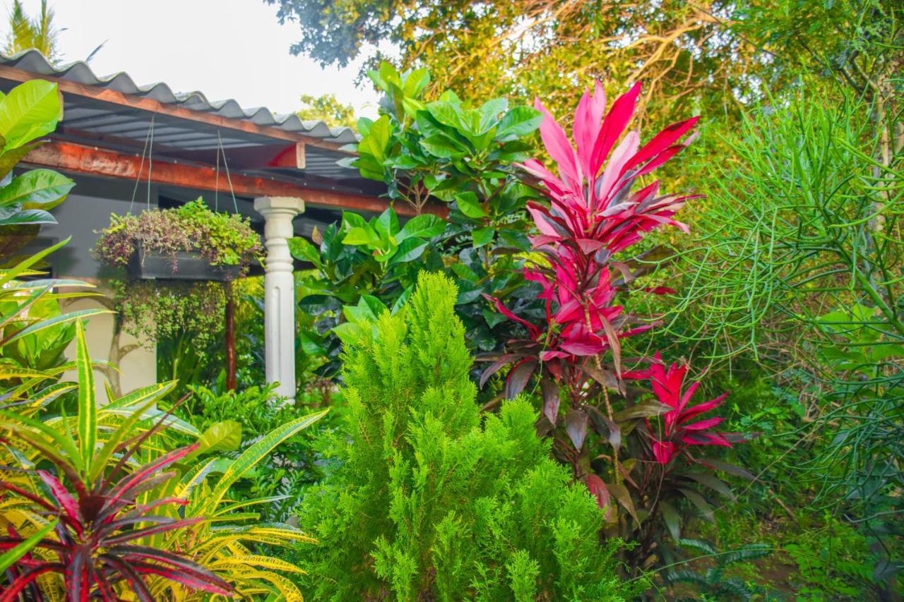 Homestay Sigiri Sandilu
