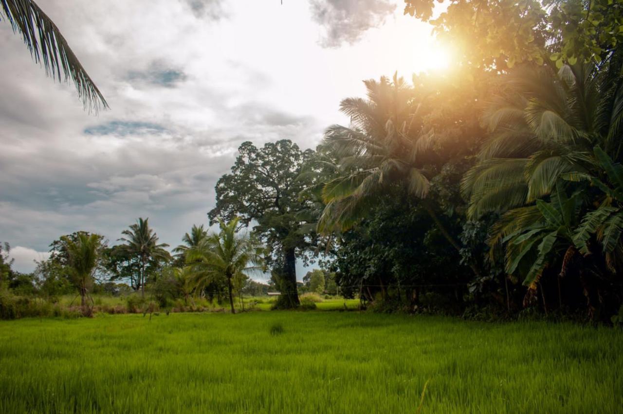 Sigiri Sandilu Homestay