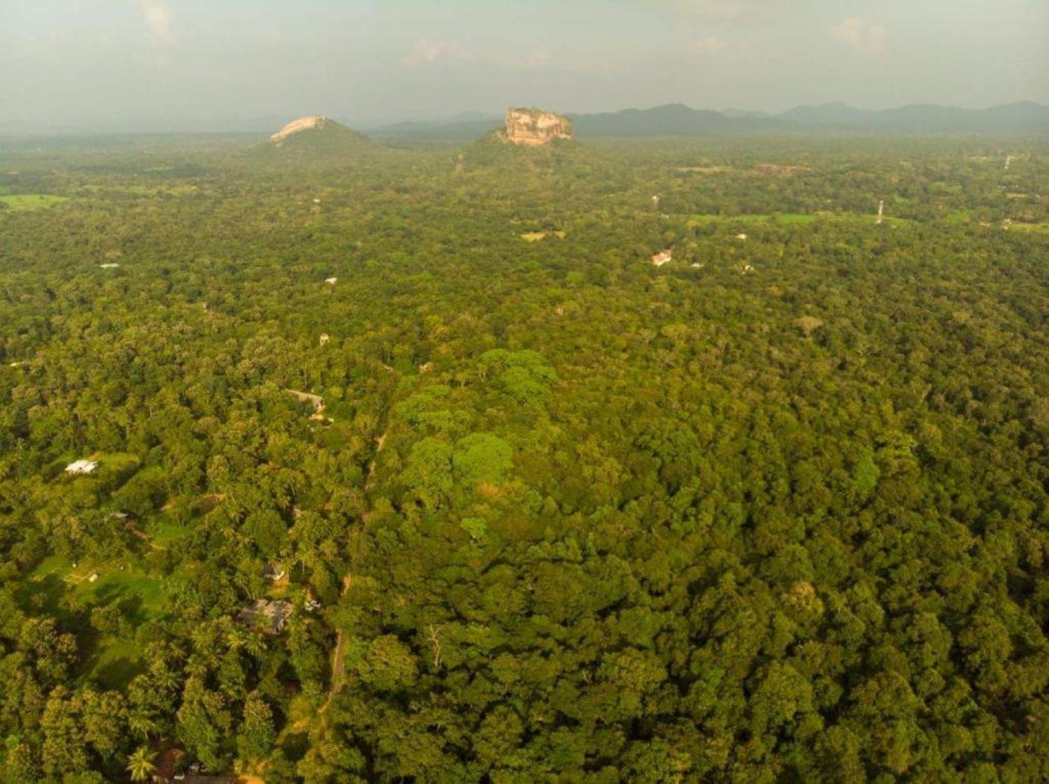 Sigiri Sandilu Sigiriya