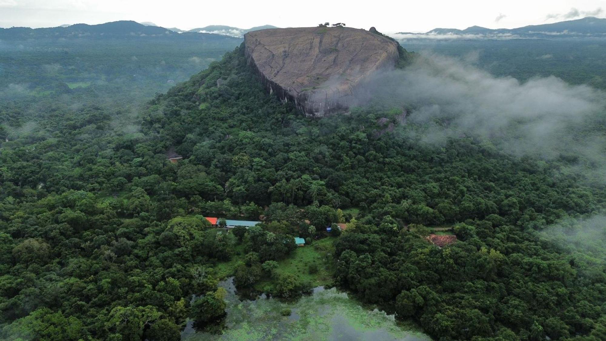 Sigiri Sandilu * Sigiriya